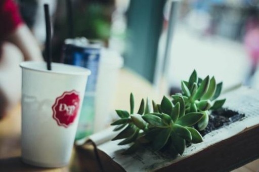 廠房建設(shè)預(yù)算風(fēng)險(xiǎn)控制策略，廠房建設(shè)預(yù)算風(fēng)險(xiǎn)控制策略，多維度剖析與應(yīng)對(duì)之策