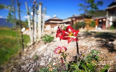 廠房拆遷補償款稅收優(yōu)惠，廠房拆遷補償款稅收優(yōu)惠，政策解讀