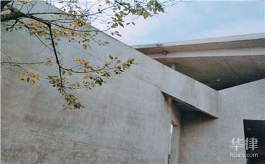 過渡期內設計責任劃分，過渡期內設計責任的精準劃分與協同，過渡期設計責任劃分與協同機制研究