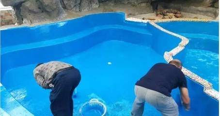 環(huán)氧樹脂膠濕度適應(yīng)性研究，環(huán)氧樹脂膠在不同濕度環(huán)境下的適應(yīng)性研究