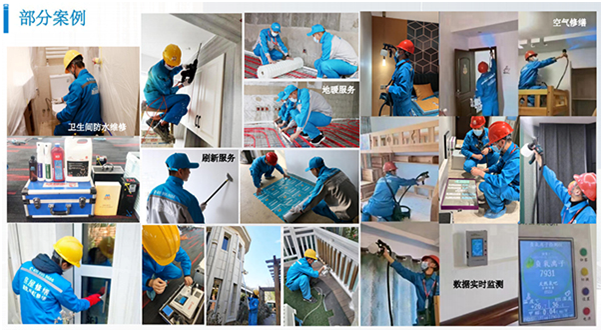 東方雨虹技術(shù)創(chuàng)新案例，東方雨虹，以技術(shù)創(chuàng)新引領(lǐng)行業(yè)變革的典范案例