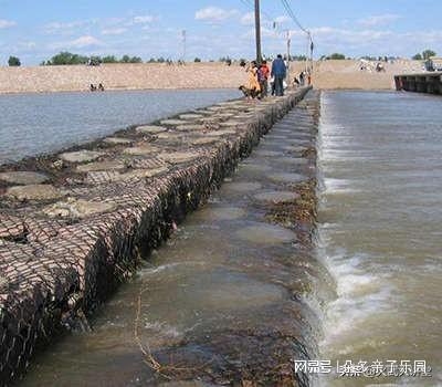 極端氣候?qū)庸坦て谟绊懀瑯O端氣候?qū)庸坦て诘挠绊懠皯?yīng)對(duì)策略 行業(yè)新聞 第3張