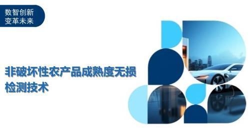 非破壞性檢測技術應用案例，非破壞性檢測技術在實際工程中的應用案例分析