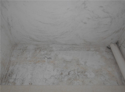 加固后建筑性能檢測方法，加固后建筑性能檢測方法與評估技術(shù)研究 行業(yè)新聞 第2張