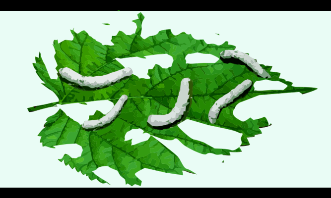 加固工程人工成本優(yōu)化策略，是基于您之前提供的加固工程相關內容生成的。若您有新的具體內容需求，可補充信息后告知，我將為您調整優(yōu)化標題。