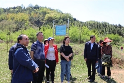 加固施工后期監(jiān)測(cè)技術(shù)應(yīng)用，加固施工后期監(jiān)測(cè)技術(shù)的應(yīng)用與實(shí)踐，加固施工后期監(jiān)測(cè)技術(shù)的應(yīng)用與實(shí)踐