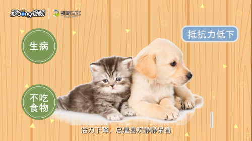 甲醛超標如何自我檢測，甲醛超標？5個簡單方法教你如何在家自我檢測 行業(yè)新聞 第6張