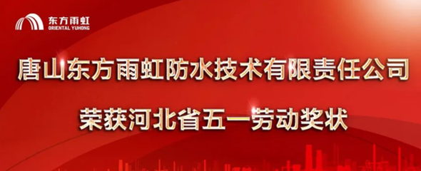 加固設(shè)計(jì)公司資質(zhì)升級(jí)攻略，加固設(shè)計(jì)公司資質(zhì)升級(jí)全流程指南，（注，若需調(diào)整側(cè)重點(diǎn)，例如突出快速低成本等關(guān)鍵詞，可補(bǔ)充說(shuō)明具體需求。）