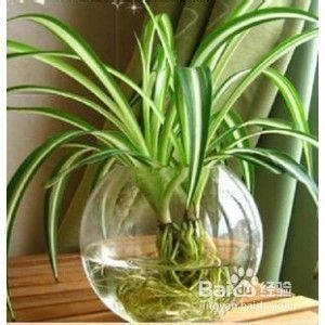 廠房室內(nèi)空氣質(zhì)量改善技巧，廠房室內(nèi)空氣質(zhì)量提升的5個實用技巧