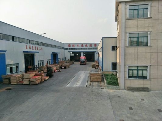 不同模板材料成本效益分析，不同模板材料的成本效益對比分析