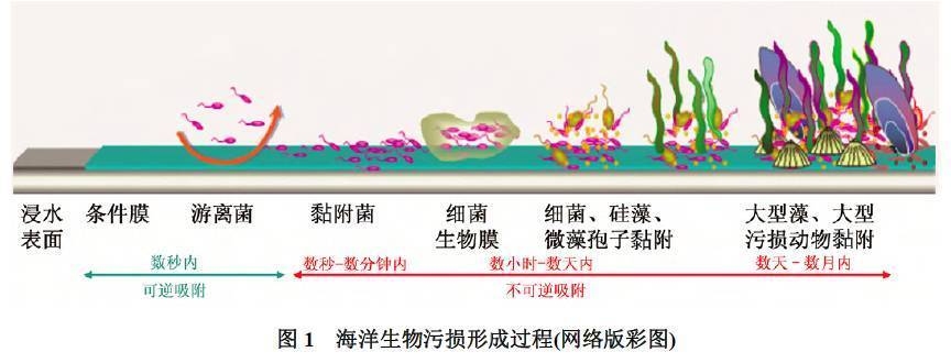 海洋環(huán)境下鋼板防腐技術(shù)