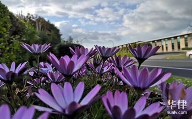 規(guī)劃為商業(yè)用地