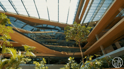 booking官網(wǎng)是哪國的