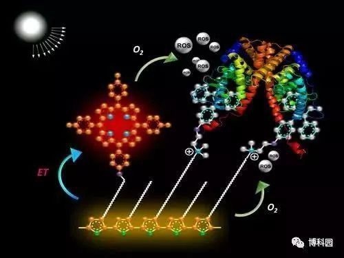 環(huán)氧樹脂兩布的耐腐蝕性能