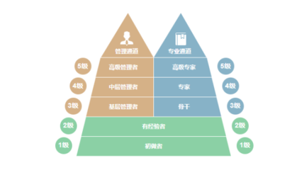 加固公司職業(yè)發(fā)展路徑