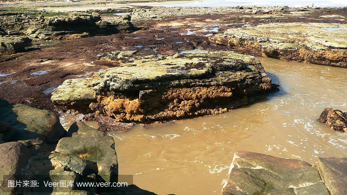 黃沙撒布技術(shù)要點(diǎn)