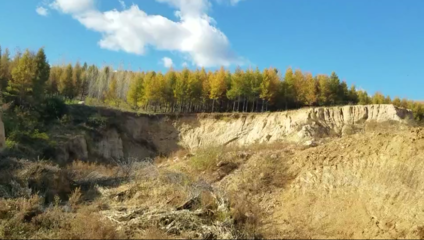 加固施工對生態(tài)環(huán)境的具體破壞有哪些？ 行業(yè)新聞 第5張