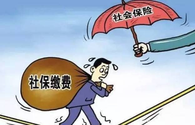 加固公司社保繳納比例