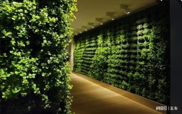 加固后墻體植物影響評(píng)估