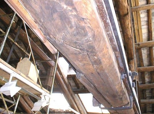 建筑加固后的病蟲害防治 行業(yè)新聞 第4張