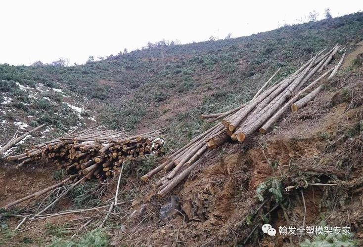 建筑加固材料的環(huán)保標準