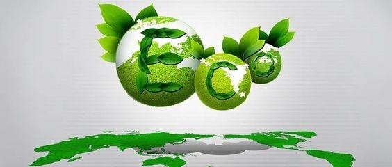 關(guān)于商場改造的通知