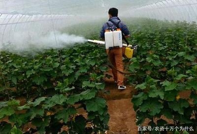 建筑病蟲害防治環(huán)保藥劑選擇