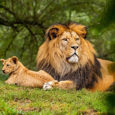 建筑抗震加固技術(shù)的發(fā)展趨勢(shì) 行業(yè)新聞 第4張