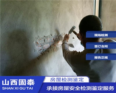 抗震加固技術的國際比較，加固技術的國際比較研究 行業(yè)新聞 第4張