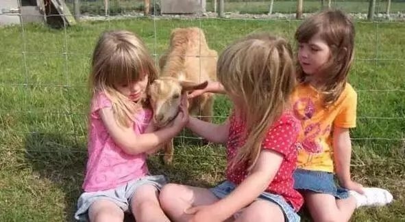 民宿酒店設計案例，酒店設計案例精選，打造舒適與美學 行業(yè)新聞 第4張