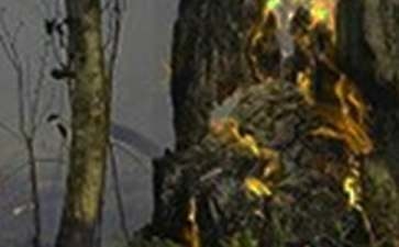 甲類廠房火災(zāi)應(yīng)急預(yù)案制定，類廠房火災(zāi)應(yīng)急響應(yīng)策略與預(yù)案制定 行業(yè)新聞 第1張