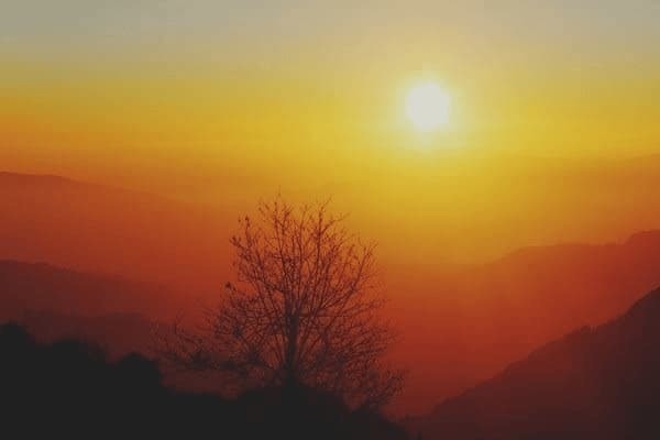 民宿設計全套方案模板下載，設計全套方案模板下載 行業(yè)新聞 第1張