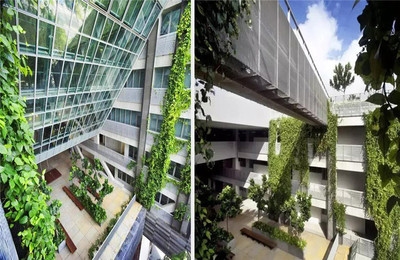 建筑行業(yè)技術(shù)進(jìn)步案例，行業(yè)技術(shù)革新，推動現(xiàn)代化進(jìn)程的典型案例