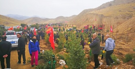 昆都侖區(qū)綠色技術(shù)應(yīng)用前景，都侖區(qū)綠色技術(shù)發(fā)展與應(yīng)用前景