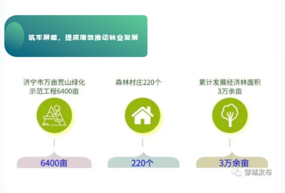 綠色加固技術(shù)的經(jīng)濟(jì)效益分析，幾種風(fēng)格不同的標(biāo)題供你參考，你可以根據(jù)具體需求進(jìn)行選擇，，正式嚴(yán)謹(jǐn)風(fēng)，綠色加固技術(shù)經(jīng)濟(jì)效益深度剖析，突出重點(diǎn)風(fēng)，聚焦綠色加固技術(shù)，解鎖經(jīng)濟(jì)效益密碼，引人關(guān)注風(fēng)，探秘綠色加固技術(shù)背后的經(jīng)濟(jì)效益真相