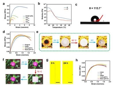 聚合物材料的環(huán)境適應(yīng)性，幾種不同風(fēng)格的標(biāo)題供你參考，你可以根據(jù)具體需求進行選擇，，深度剖析，聚合物材料的環(huán)境適應(yīng)性奧秘，聚焦！聚合物材料的環(huán)境適應(yīng)性探究，解鎖聚合物材料的環(huán)境適應(yīng)性密碼