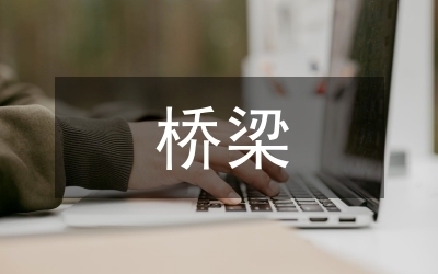 橋梁維護(hù)成本效益評(píng)估，橋梁維護(hù)，成本與效益的深度剖析