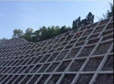 綠色加固材料的國(guó)際標(biāo)準(zhǔn)對(duì)比，幾種不同風(fēng)格的標(biāo)題供你參考，，聚焦，綠色加固材料國(guó)際標(biāo)準(zhǔn)大比拼，深度剖析，綠色加固材料的國(guó)際標(biāo)準(zhǔn)差異，解碼綠色加固