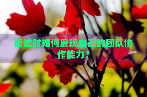 面試中如何展現(xiàn)團(tuán)隊協(xié)作能力，面試攻略，高效展現(xiàn)團(tuán)隊協(xié)作能力的黃金