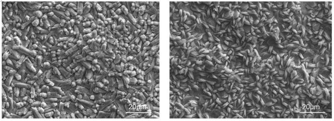 磷化處理提高涂層附著力原理，磷化處理，解鎖涂層附著力提升 行業(yè)新聞 第5張