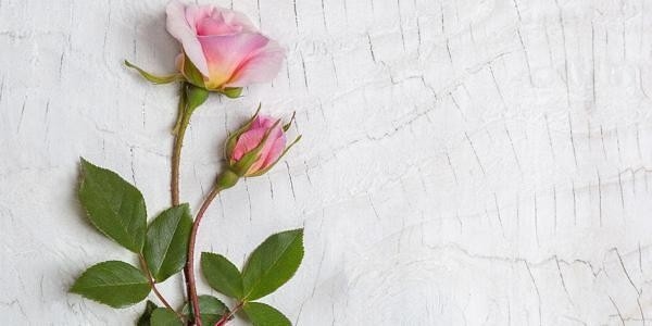 瀘州設(shè)計(jì)公司有哪些（瀘州設(shè)計(jì)公司有哪些根據(jù)您的問題我為您整理了瀘州市部分設(shè)計(jì)公司的信息）