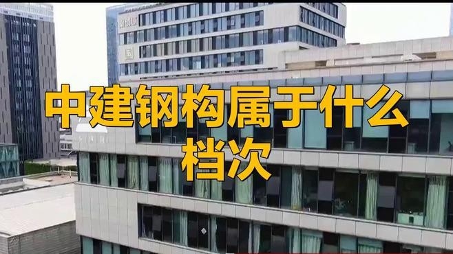 坪山鋼結(jié)構(gòu)公司是國企還是私企（中建鋼構(gòu)股份有限公司是國企還是私企坪山鋼結(jié)構(gòu)公司） 行業(yè)新聞 第2張