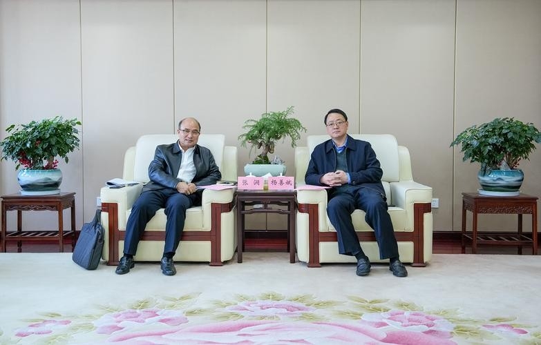 金寨鋼結(jié)構(gòu)公司董事長背景（金寨鋼結(jié)構(gòu)公司董事長背景是什么？）