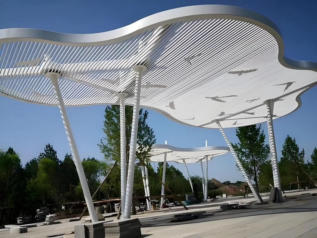 景觀異形鋼結(jié)構(gòu)加工價(jià)格及圖片（景觀異形鋼結(jié)構(gòu)加工）