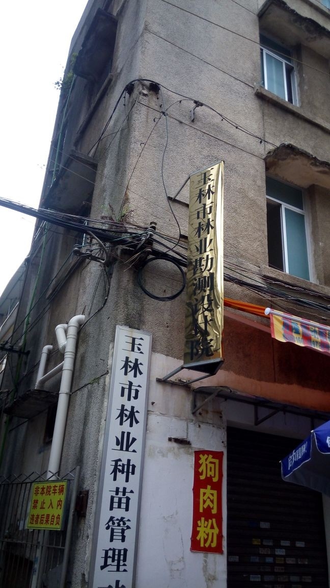 玉林設(shè)計(jì)公司（玉林裝修公司排名）